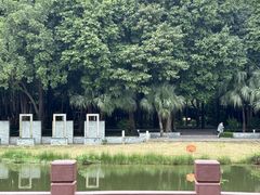 -南宁南湖公园