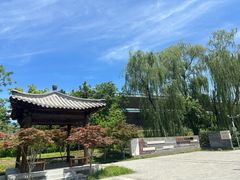 -莲花池公园