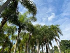 -中国科学院西双版纳热带植物园