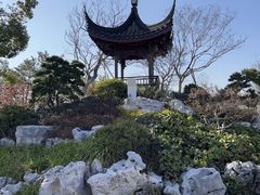 -上海滨江森林公园