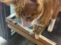 -九州酒场ひこぞう(2号店)