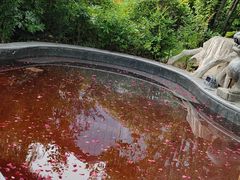 -太白山御龙湾温泉