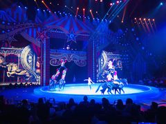 -珠海横琴长隆《卡卡虎奇遇记》