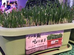 -盒马鲜生(大成店)