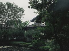 -太极禅苑