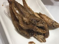 -席家花园(巨鹿花园店)