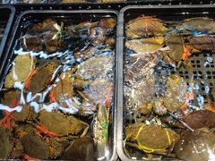 -海鲜e族(马王堆店)