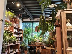 -自由生长植物工作室(深港花卉中心店)
