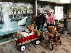 -济州岛泰迪熊博物馆