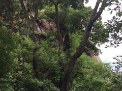 -北京鹫峰国家森林公园