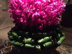 -LONG BAR 廊吧(外滩华尔道夫酒店)