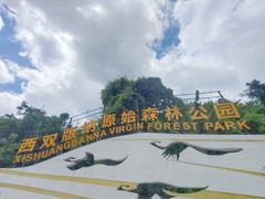 -西双版纳原始森林公园