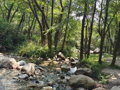 -玉渡山自然风景区