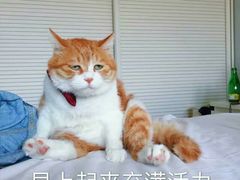 -龙颈河漂流