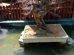 -老北京风情街