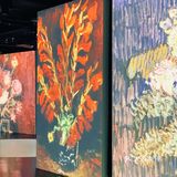 北京看展｜梵高的向日葵