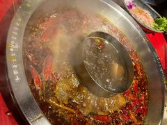 谭血鸭红锅底-谭鸭血老火锅(漳州路店)