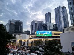 -深圳湾万象城(南山店)