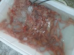 -新金盛·海鲜酒楼(盐田店)