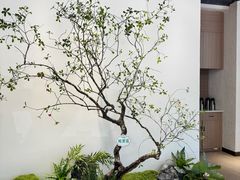 -驻海渔市(置信店)