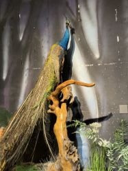 -酷嗒动物文化乐园(cutezoo西溪乐天城店)