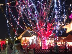 -孔子六艺文化园