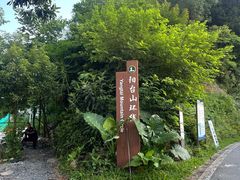 -阳台山森林公园