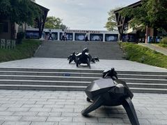 -广东惠东海龟国家级自然保护区