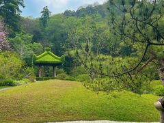 -云溪植物园