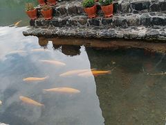 -丽江玉水寨