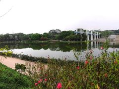 -东莞植物园