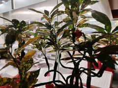 -艳阳天·非遗楚菜(武汉客厅店)