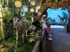 -西霞口神雕山野生动物世界