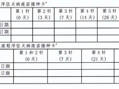 -华中科技大学同济医学院附属同济医院(汉口院区)