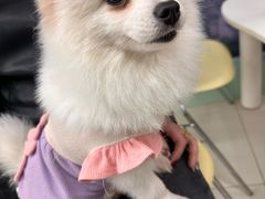 -怪兽屋·羊驼·猫咖·狗咖(俊华广场店)