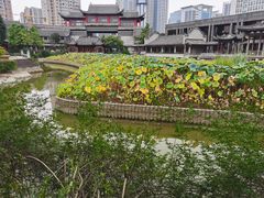 -龙潭水乡