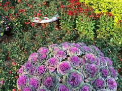 -人民公园(罗湖区)