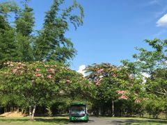 -中国科学院西双版纳热带植物园