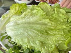 -岩保农家乐