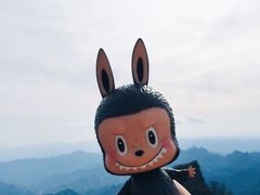 -白草畔自然风景区