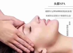 -木北造型