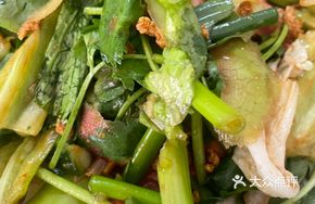Hand-Torn Sauce Salad