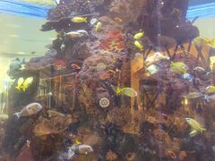 -长隆横琴湾酒店(珠海旗舰店)