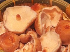 -捞王猪肚鸡火锅(金华义乌之心店)