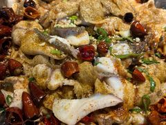 -百岁鱼(望月路店)