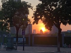 -映月湖公园