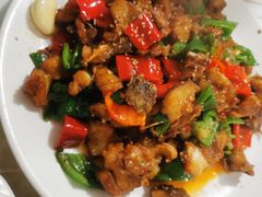 -煲来饱去冷水鱼