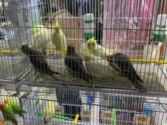 -三旗百汇商品城