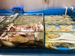 -凯悦·东方公主号 全球海鲜自助餐厅(凯丹广场店)