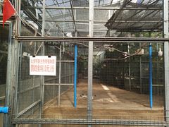 -呀路古热带植物园